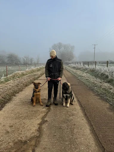 Finn on a frosty farm track with two young shepherd dogs sitting beside him